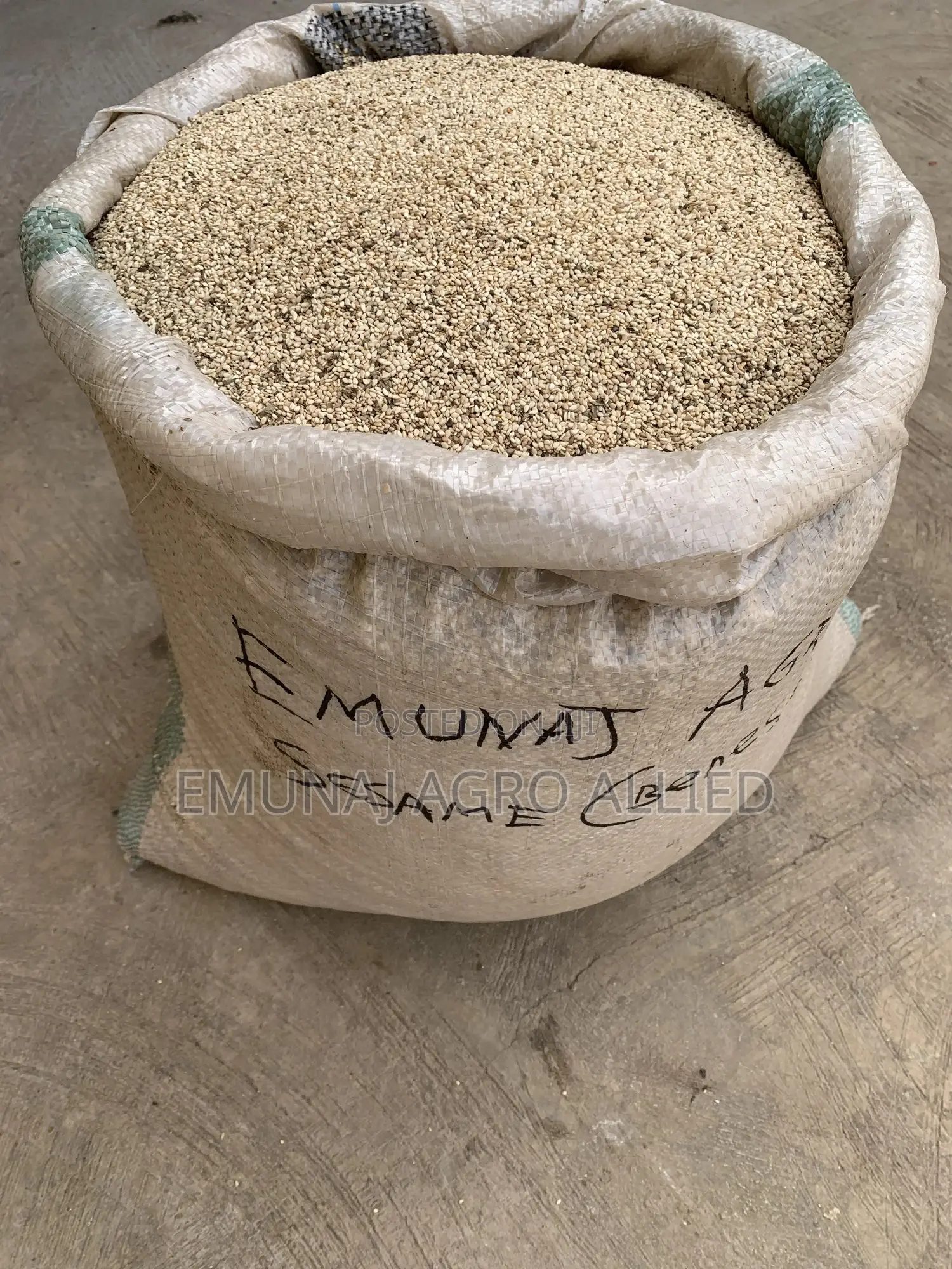 Sesame ( Beneseed )