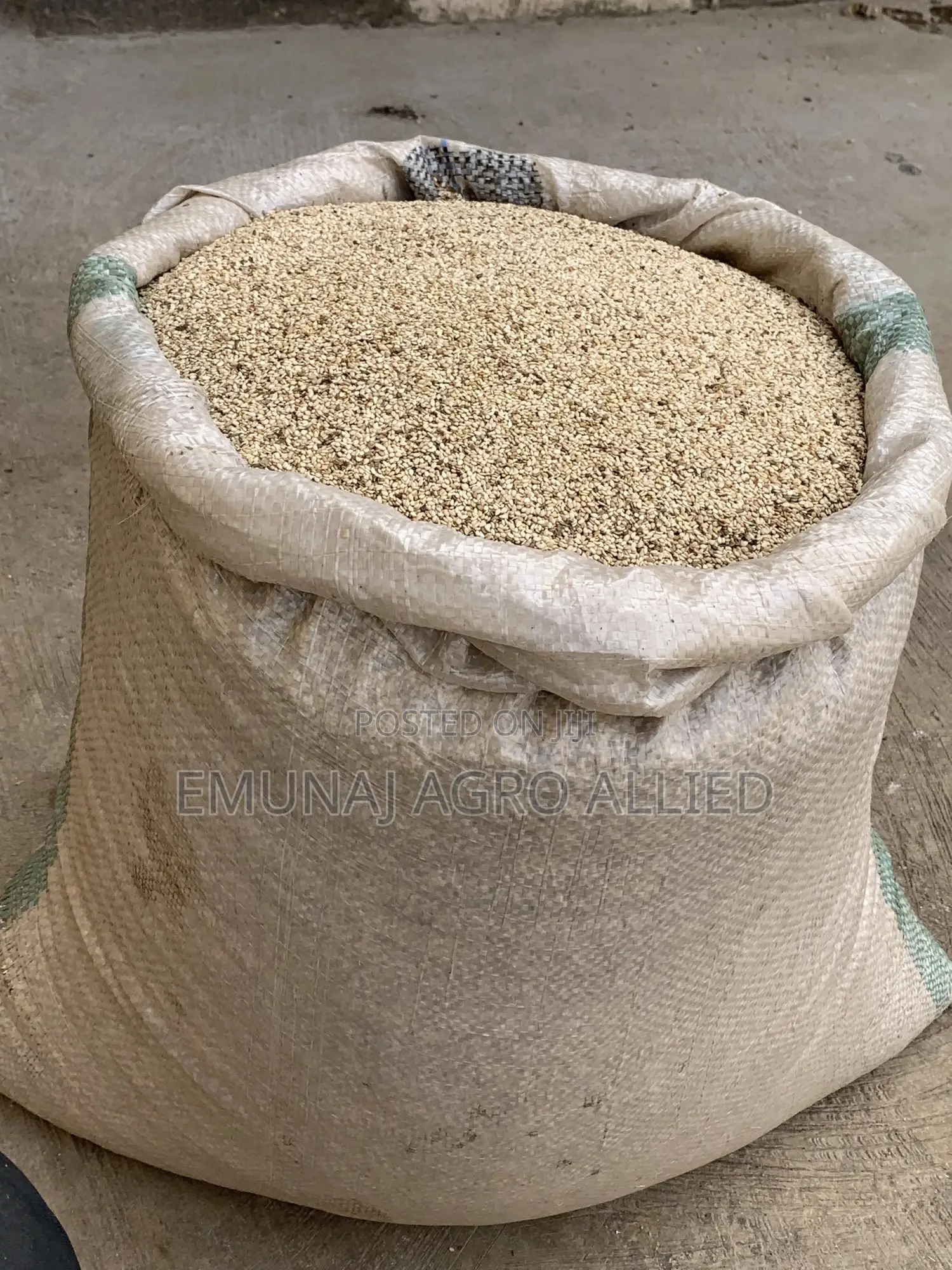 Sesame ( Beneseed )
