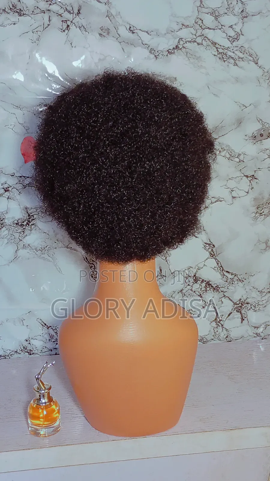 Braided Wig