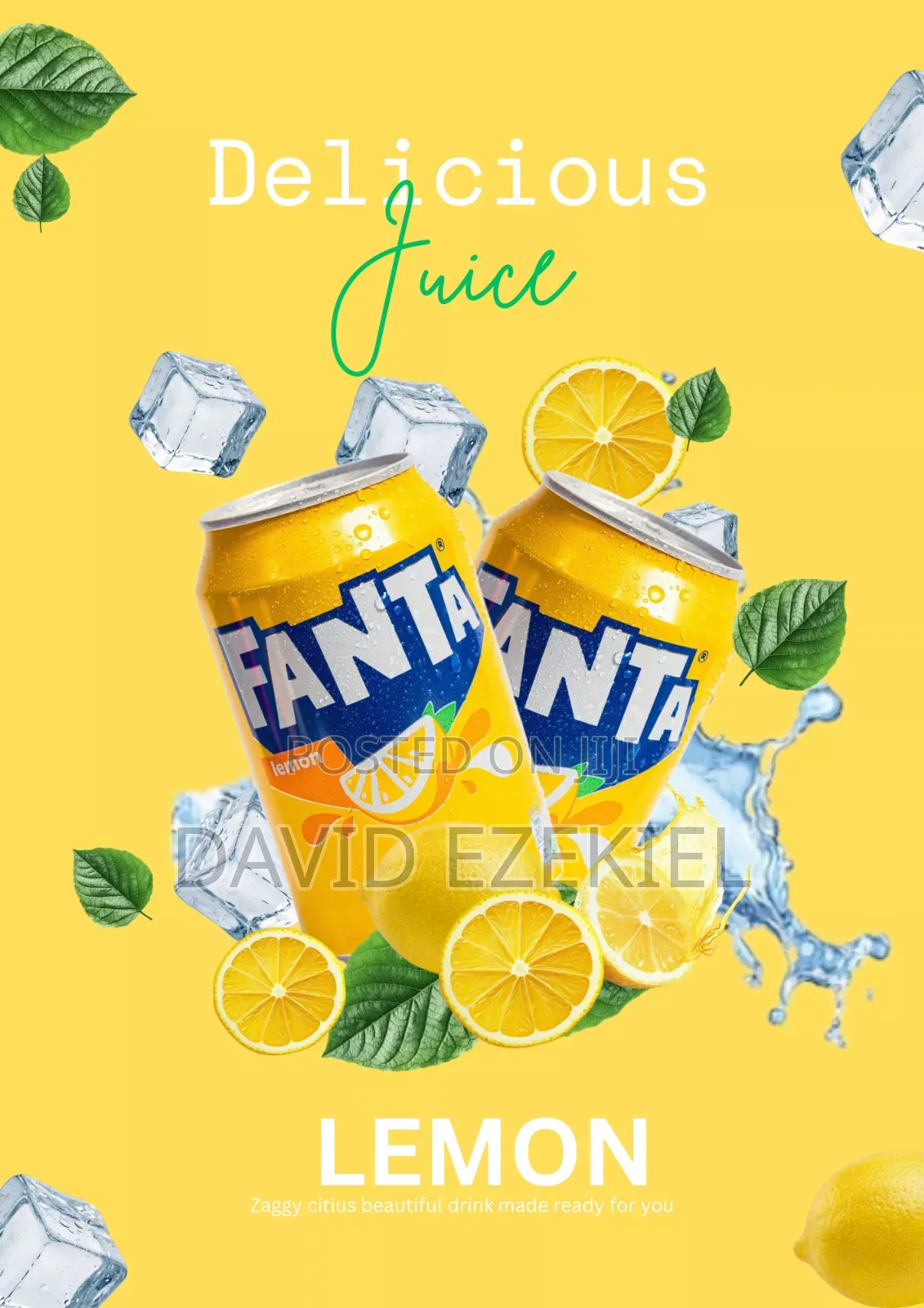Graphic Designer