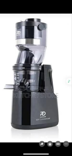 Raylux Sdf High Torque Motor Commercial Masticating Cold Press Juicer