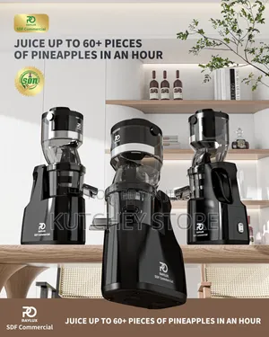 Raylux Sdf High Torque Motor Commercial Masticating Cold Press Juicer
