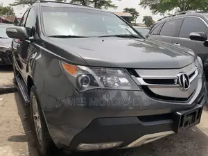 Acura MDX 2008 Gray