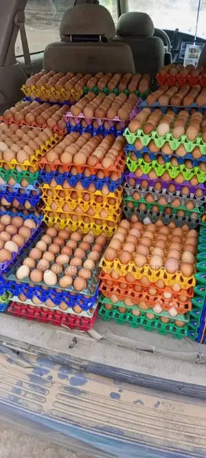 Fresh Eggs, Frozen Foods & Spices, Egg Crates In Ph Wholesale & Retail