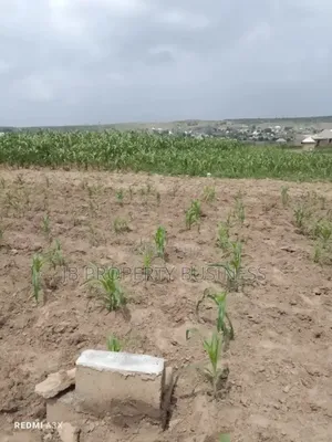 50/50 Plot of Land for Sale