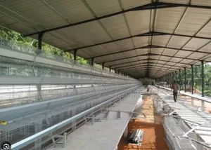 Automated Poultry Farm