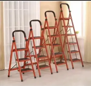 Ladder Available In Different Steps(4,5,6,7)