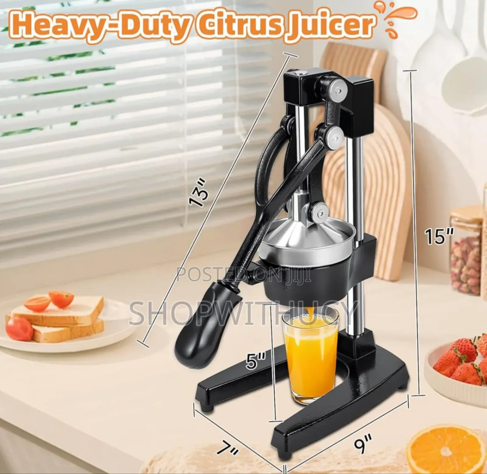 Cast Iron Heavy Duty Manual Juicer Press