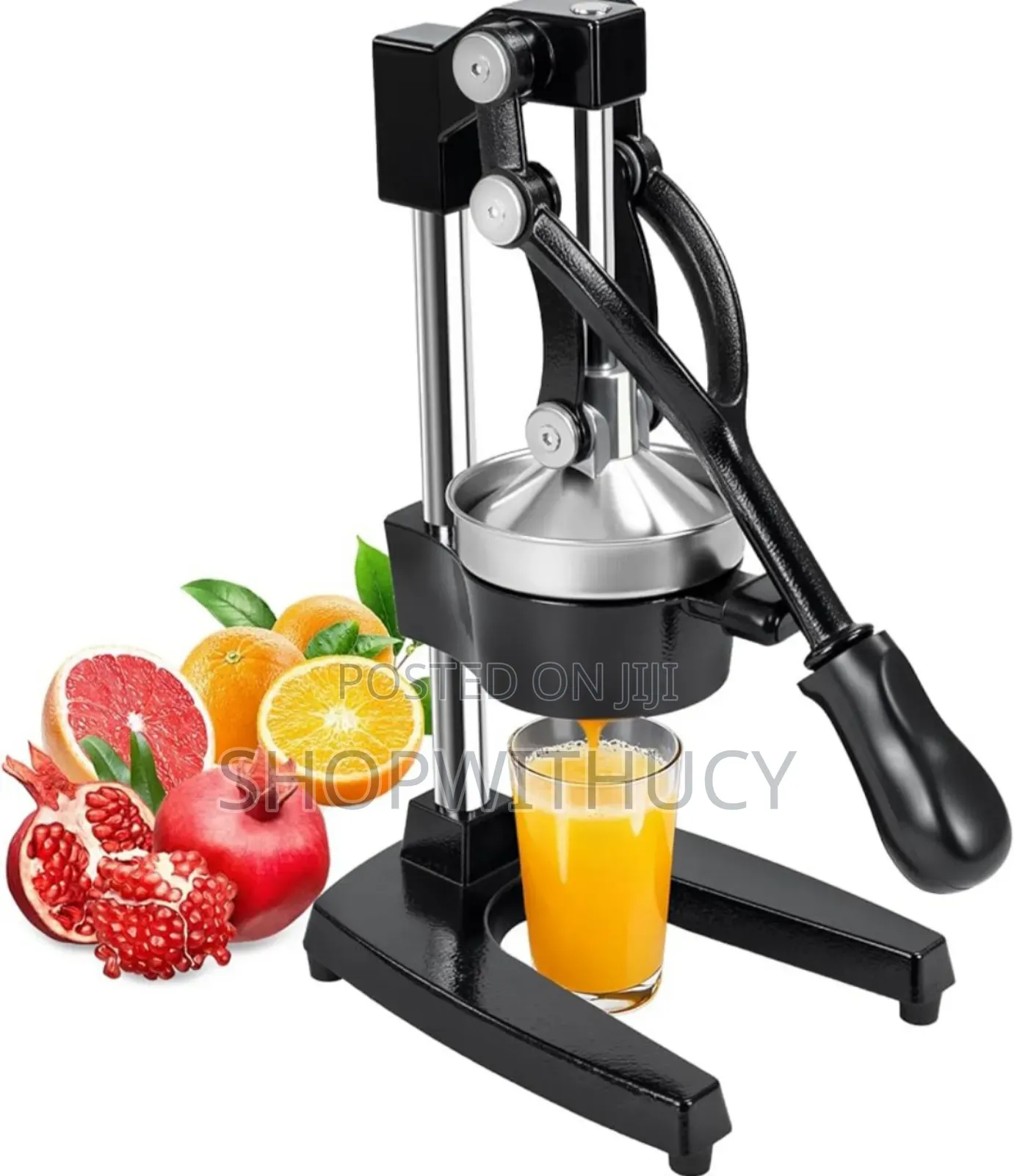 Cast Iron Heavy Duty Manual Juicer Press