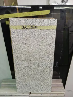 Compound/Outdoor Porcelain Floor 30x60 Tiles
