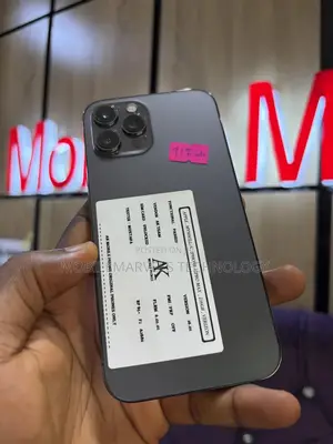 Apple iPhone 12 Pro Max 256 GB Gray