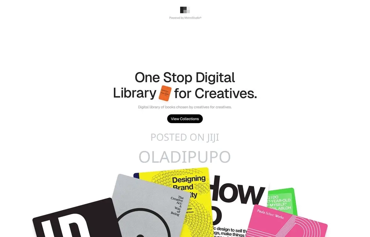 Professional Web Designer | Website Design Development