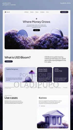 Professional Web Designer | Website Design Development