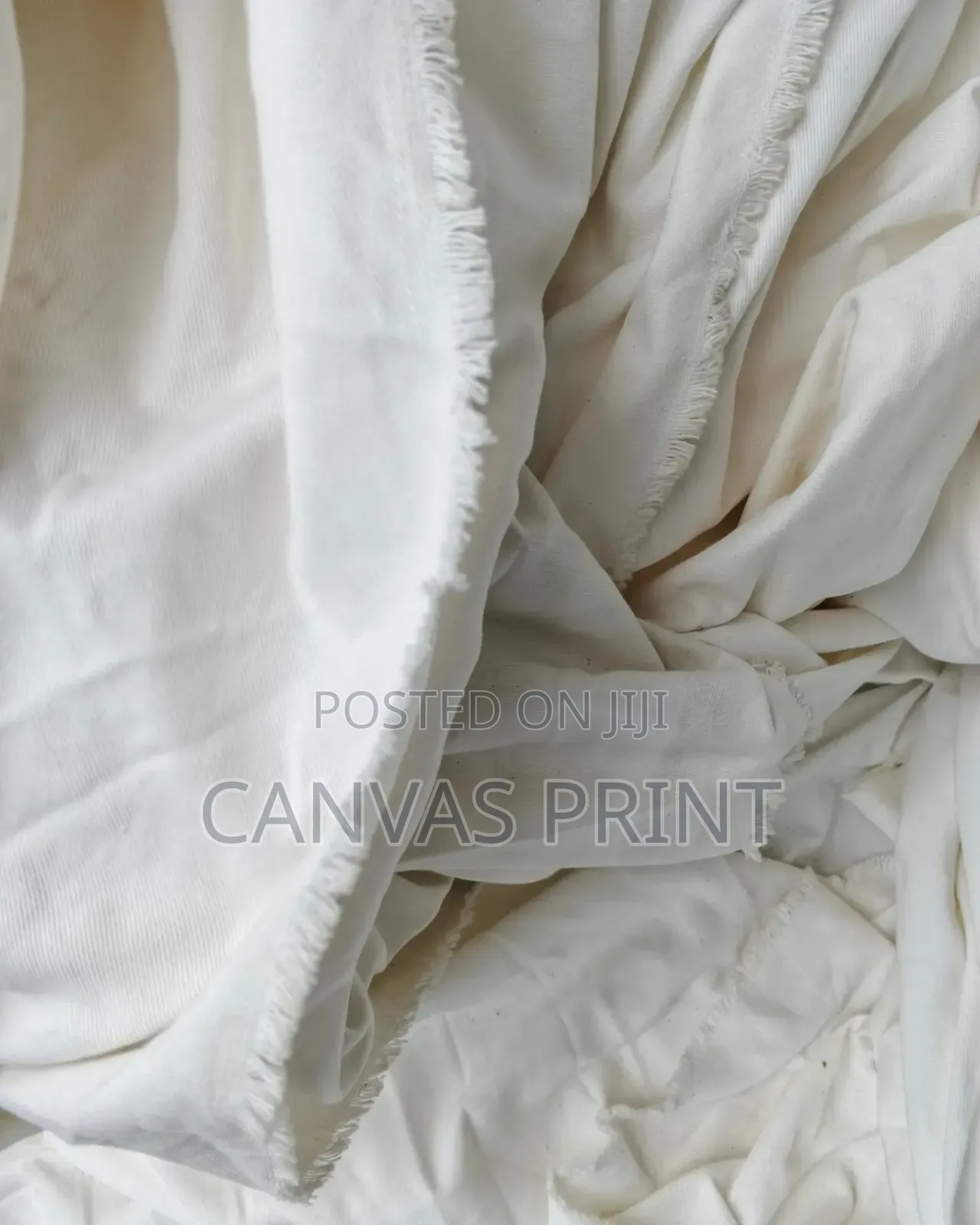 Back Drop Canvas