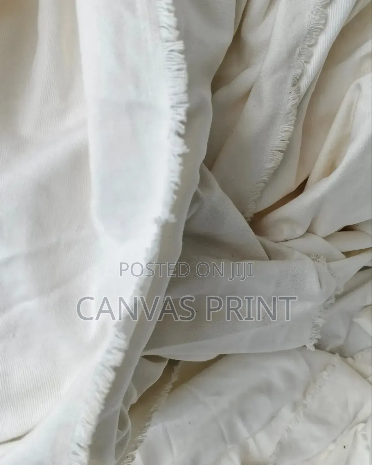 Back Drop Canvas