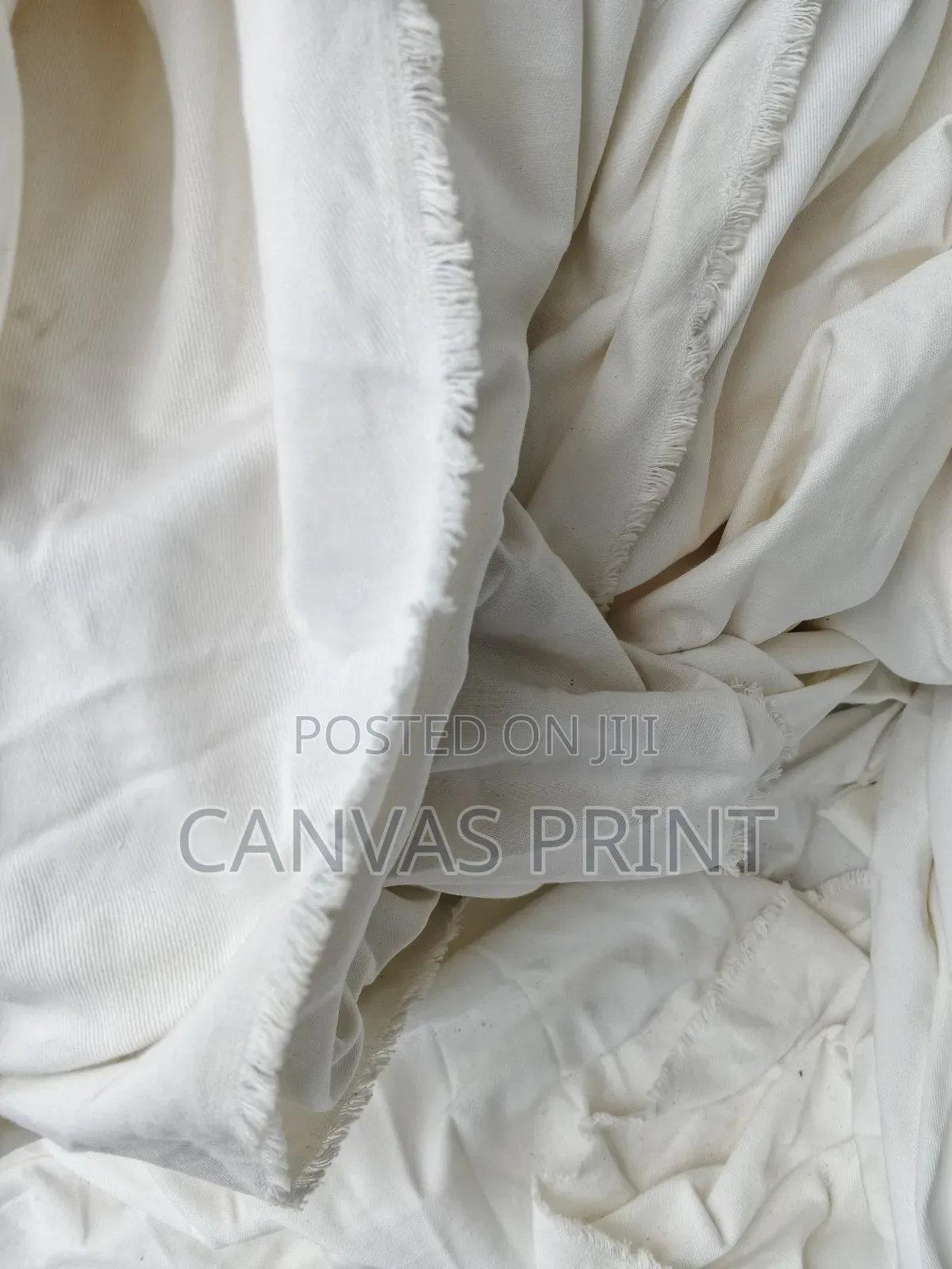 Back Drop Canvas