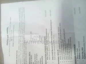 My Work Experience and Cv