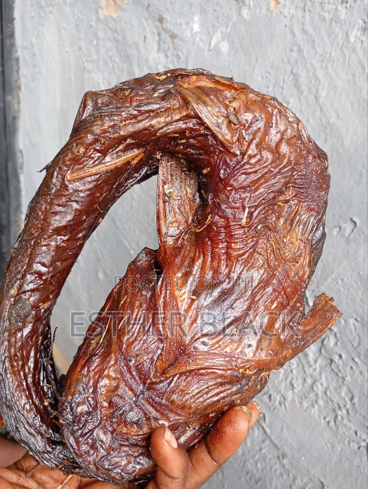 River Catfish