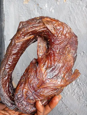 River Catfish