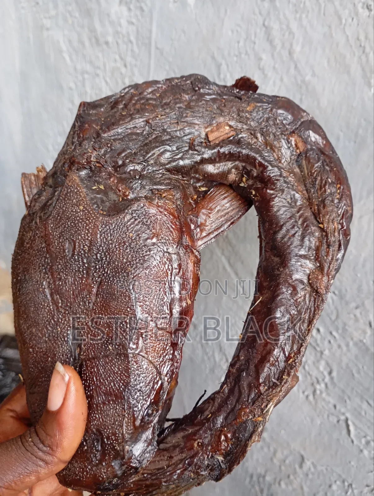 River Catfish