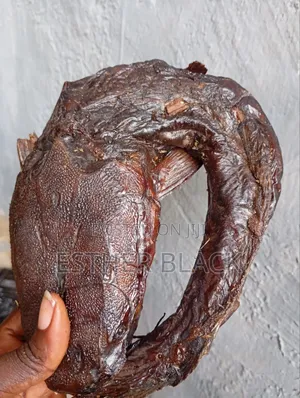 River Catfish