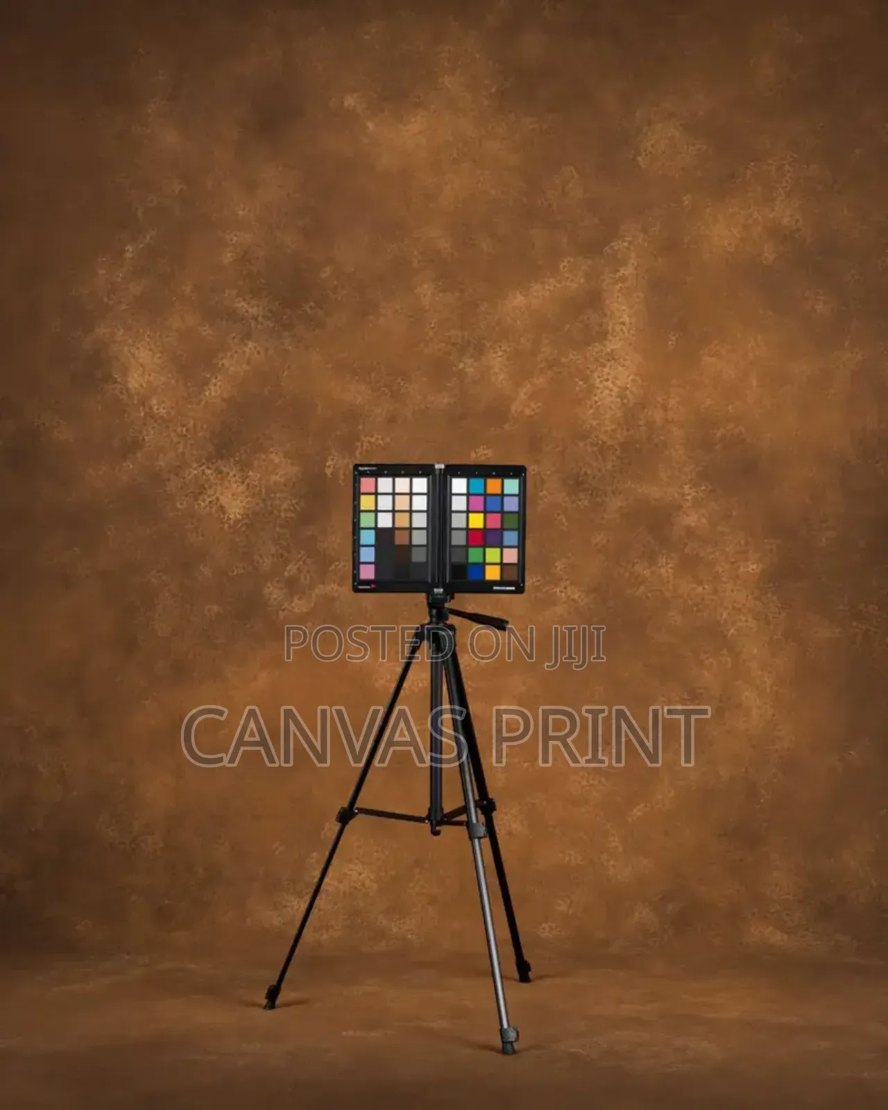 Back Drop Canvas