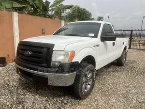 Ford F-150 2010 White