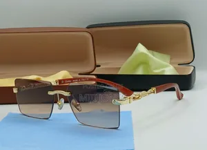 "Cartier Cheetah Luxe"