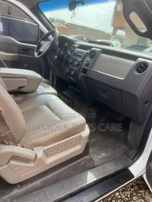 Ford F-150 2010 White