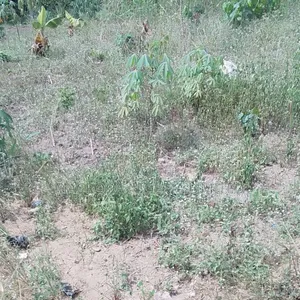 Jv Land at Ikota