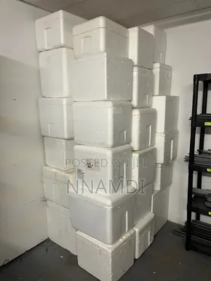 Foam Box for Storage of Seafoods at Ojodu 50 Litres