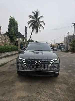 Hyundai Tucson Limited 2024 Teal