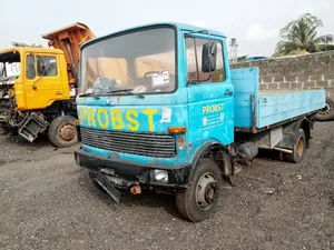 Mercedes 813 Half Bucket