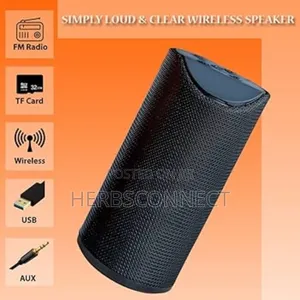Loud Portable Wireless Speaker With Rechargeable Hand Fan