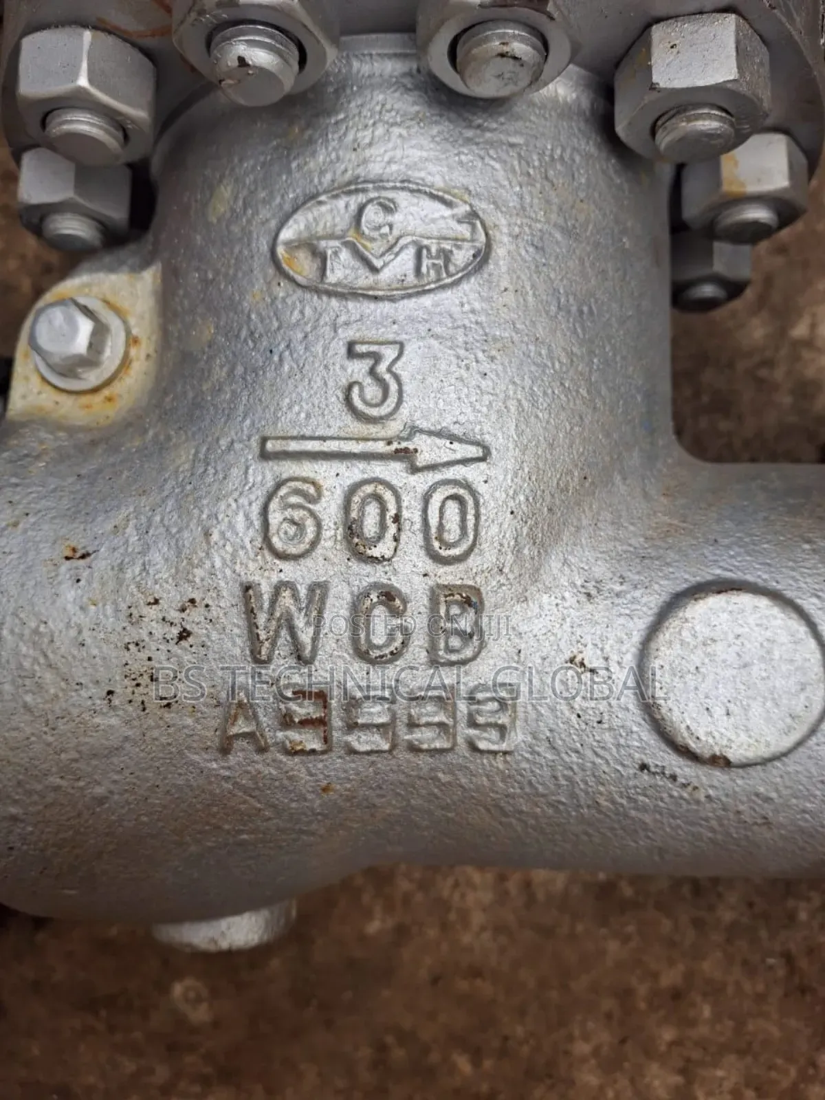 3" X 600 Check Valve