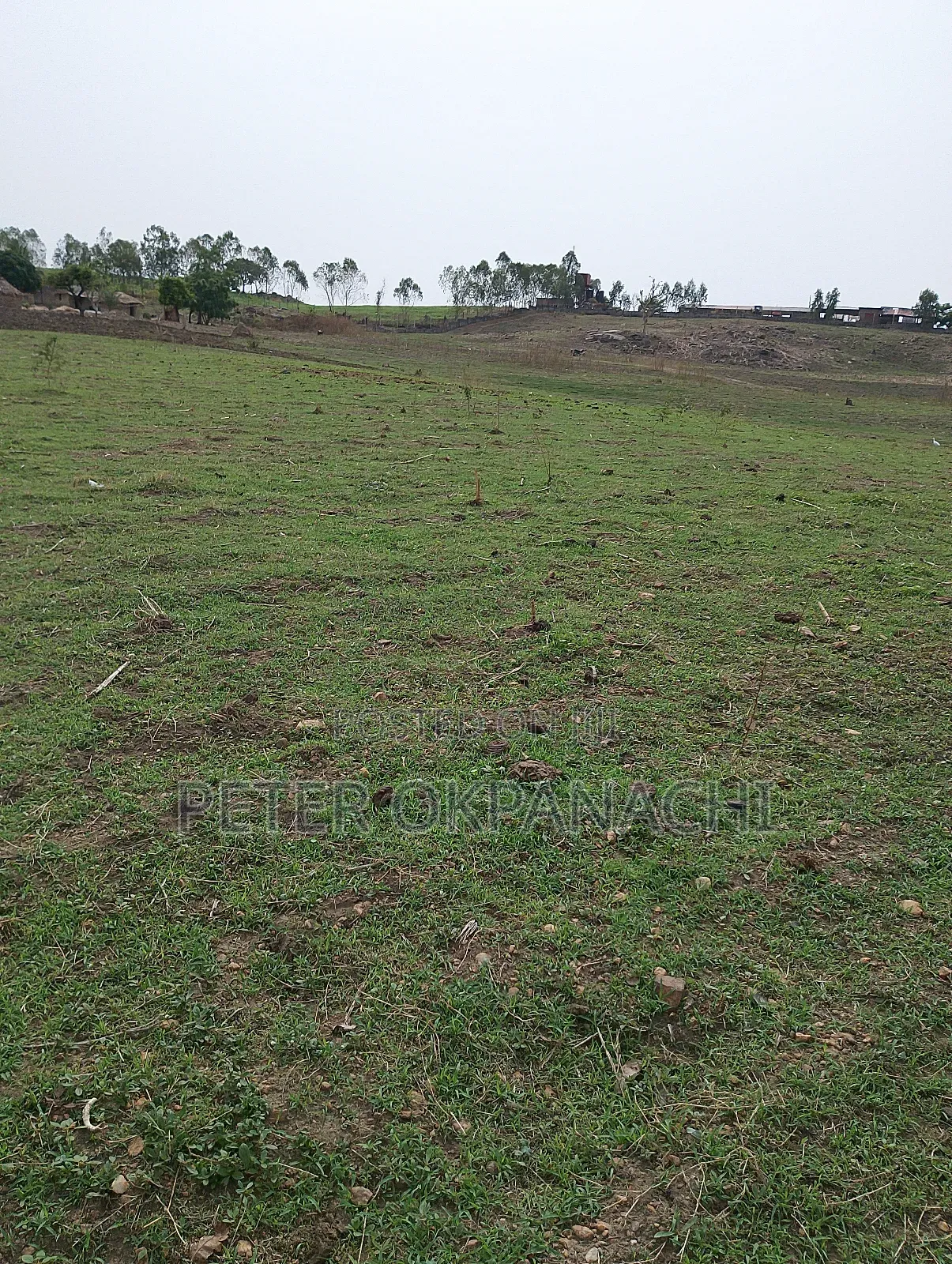 Agricural Land for Lease