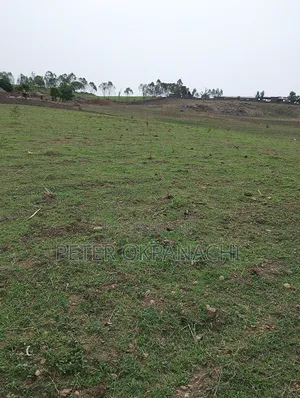 Agricural Land for Lease