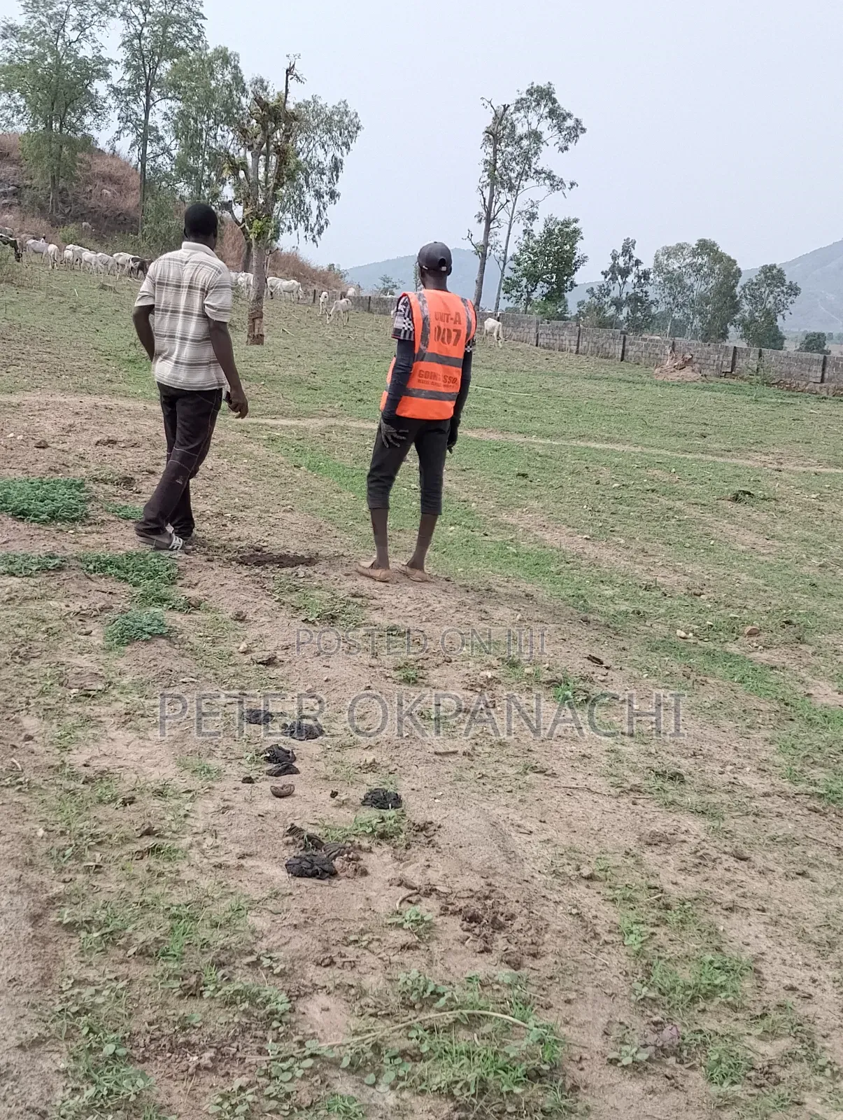 Agricural Land for Lease