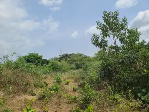 Pure Dry Land