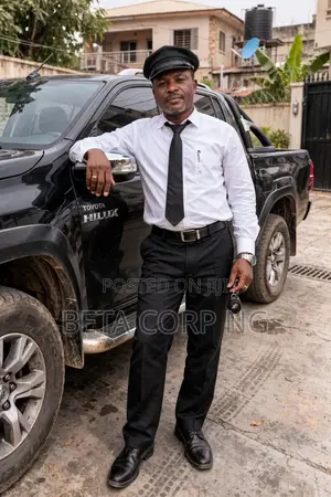 Professional Drivers Available