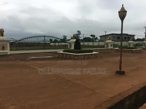 Real Estate