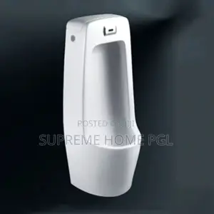 Men's Urinary Bowl