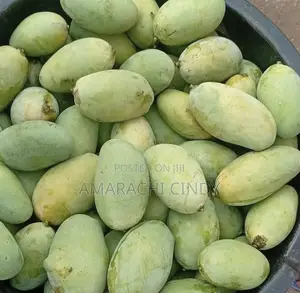 Fresh Mangoes