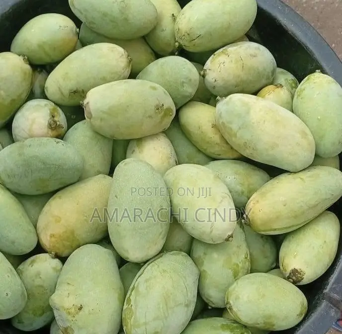 Fresh Mangoes