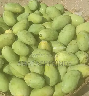 Fresh Mangoes