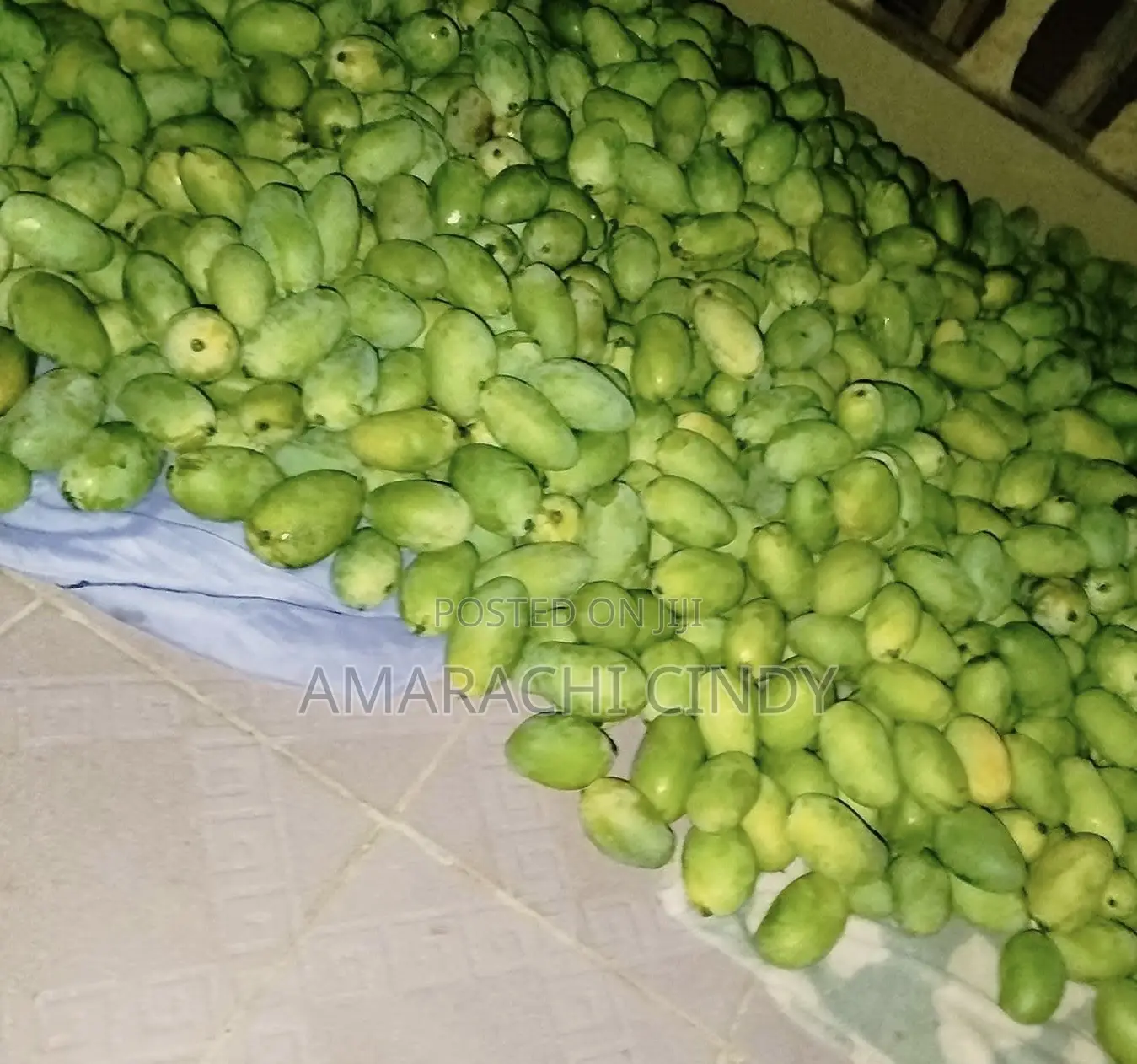 Fresh Mangoes
