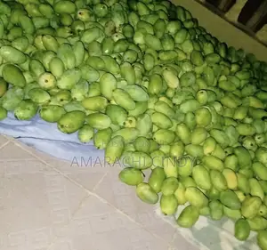 Fresh Mangoes