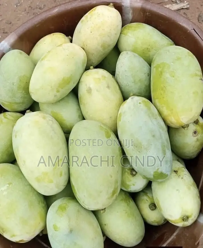 Fresh Mangoes