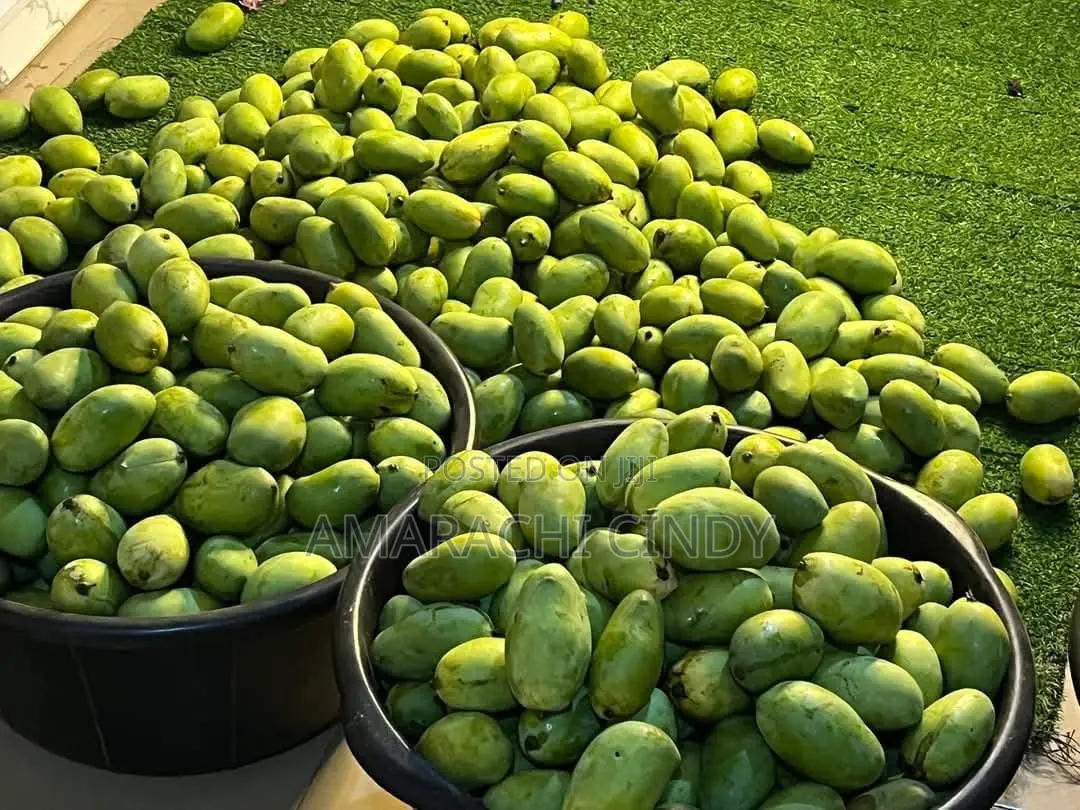 Fresh Mangoes