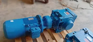 Electric Motor With Gear
